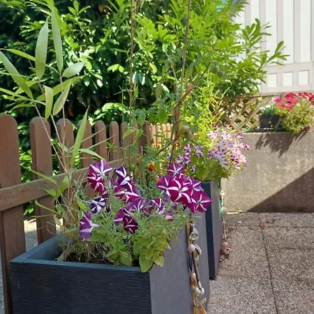 L'escale Honfleuraise Apartament *