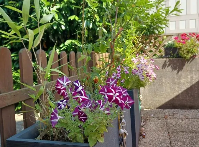 L'escale Honfleuraise Lägenhet *